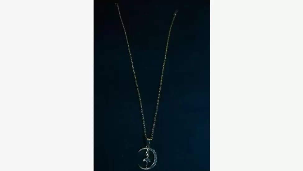 R300 Brand New UNUSED Stainless Steel Moon Lover Necklace