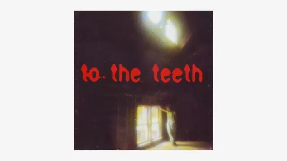 R80 Ani difranco - to the teeth (cd) - plumstead, southern suburbs