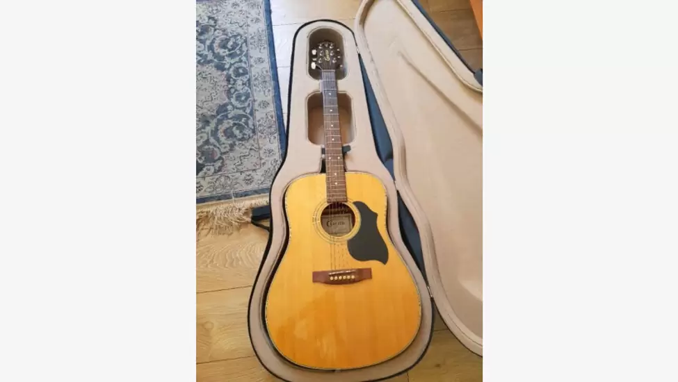R2,500 Crafter acoustic guitar and case