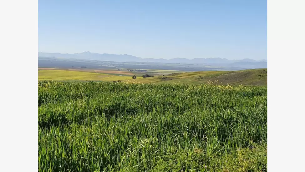 R35,000,000 Farm For Sale in Malmesbury - Western Cape