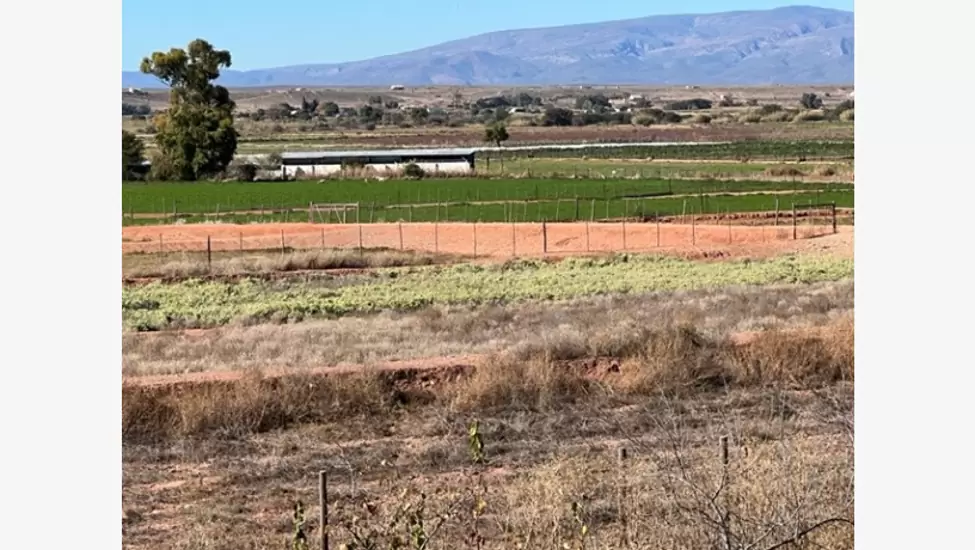 R5,240,000 Farm For Sale in Calitzdorp - Western Cape